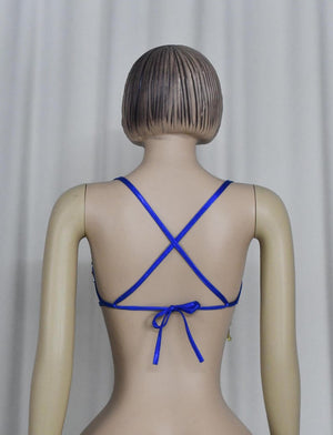 Belly Dance Bra, Women's Blue & Gold Crystal Embellished Fringe Sequins Rhinestone Dance Top, Samba, Carnival, Rave, Festival Costume