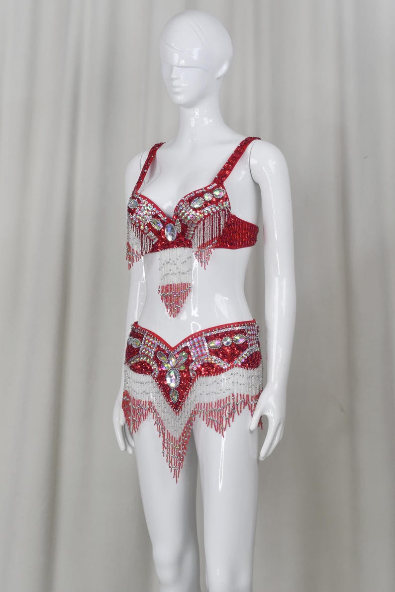 Belly Dance Costume, Women's Red & Silver Sequin Beaded Fringe Bra & Skirt Set, Performance Wear