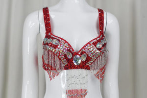 Belly Dance Costume, Women's Red & Silver Sequin Beaded Fringe Bra & Skirt Set, Performance Wear