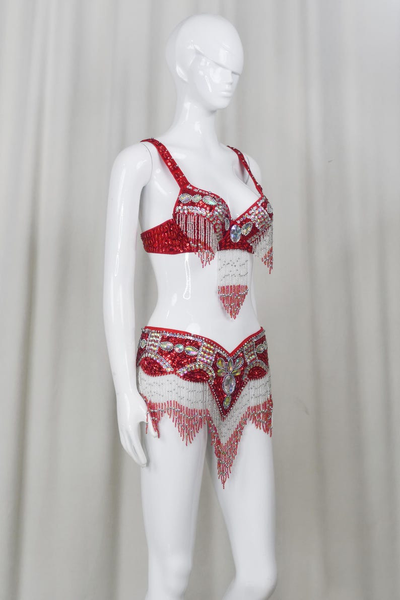 Belly Dance Costume, Women's Red & Silver Sequin Beaded Fringe Bra & Skirt Set, Performance Wear