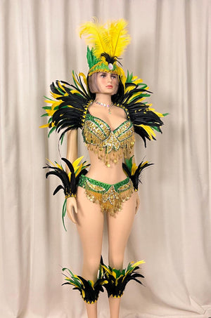 Carnival Samba Dance Costume Adult Female Green Yellow Black Sequin Feather Rhinestone Bra Bottom Set