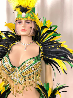 Carnival Samba Dance Costume Adult Female Green Yellow Black Sequin Feather Rhinestone Bra Bottom Set