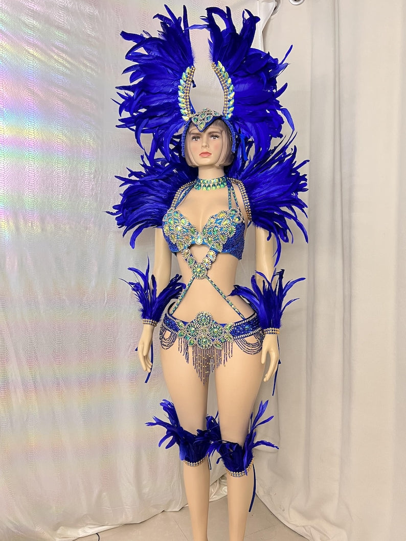 Carnival Dance Costume Adult Female Blue Feathered Rhinestone Beaded Sequin Brazilian Samba Dancewear