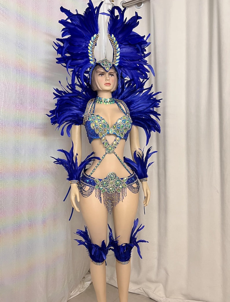 Carnival Dance Costume Adult Female Blue Feathered Rhinestone Beaded Sequin Brazilian Samba Dancewear