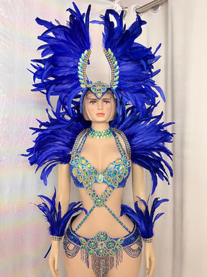Carnival Dance Costume Adult Female Blue Feathered Rhinestone Beaded Sequin Brazilian Samba Dancewear