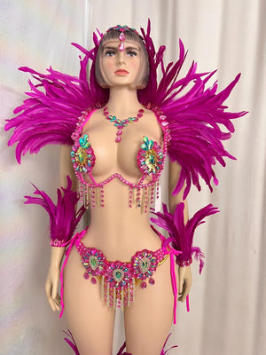 Carnival Costume Women's Hot Pink Feathered & Rhinestone Embellished Bra & Bikini Set with Arm & Leg Bands, Samba Dancewear