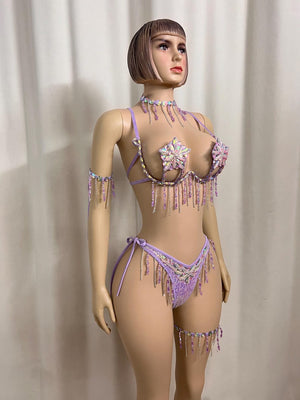 Women's Lavender Sequin & Rhinestone Fringe Bra & Thong Set with Arm & Leg Bands, Burlesque/Rave Dancewear