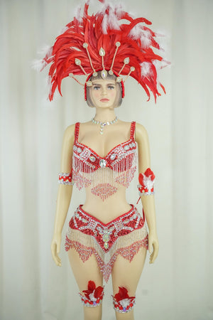 Carnival Dance Costume, Women's Red & Silver Sequin Beaded Feather Headdress Bra Shorts Set, Samba/Rumba/Latin Dancewear