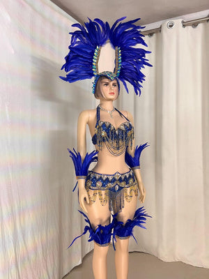 Women's Blue Feathered Sequin Beaded Carnival Samba Dance Costume Set