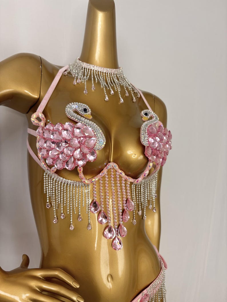 Women's Pink Swan Embellished Rhinestone Fringe Bikini Set - Latin Dance
