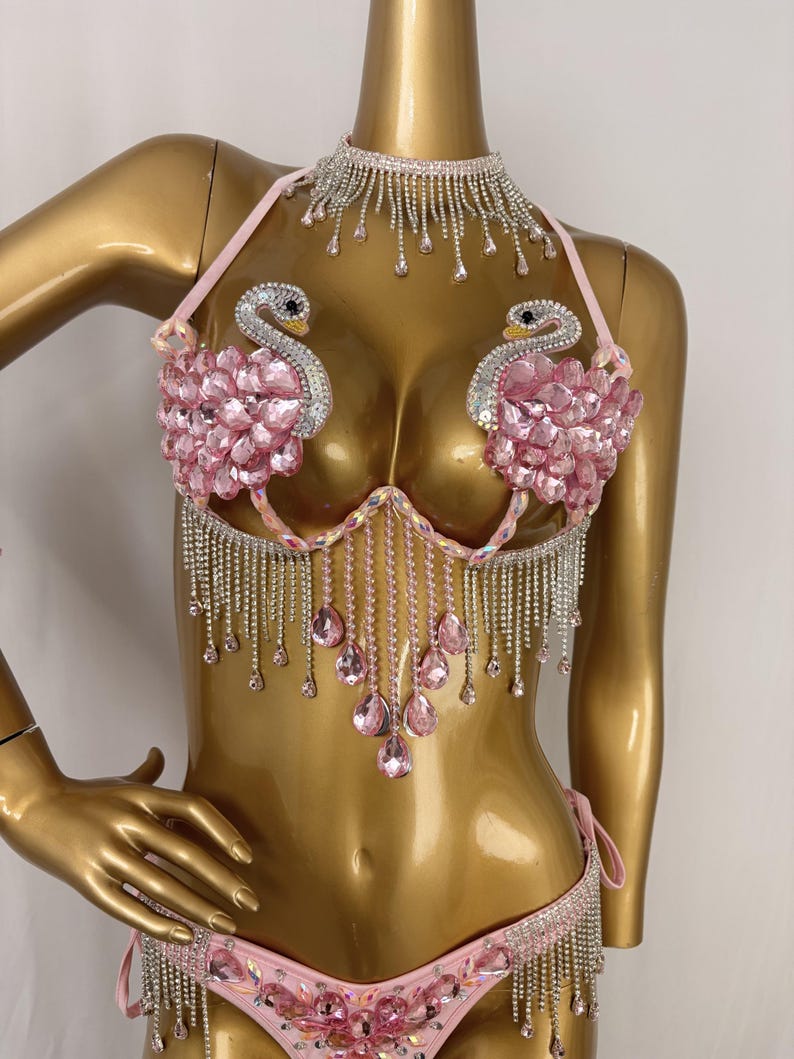 Women's Pink Swan Embellished Rhinestone Fringe Bikini Set - Latin Dance