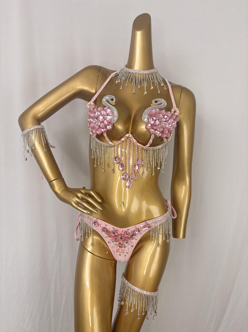 Women's Pink Swan Embellished Rhinestone Fringe Bikini Set - Latin Dance