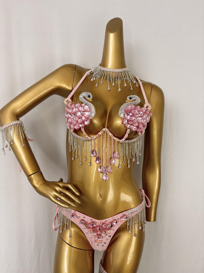 Women's Pink Swan Embellished Rhinestone Fringe Bikini Set - Latin Dance