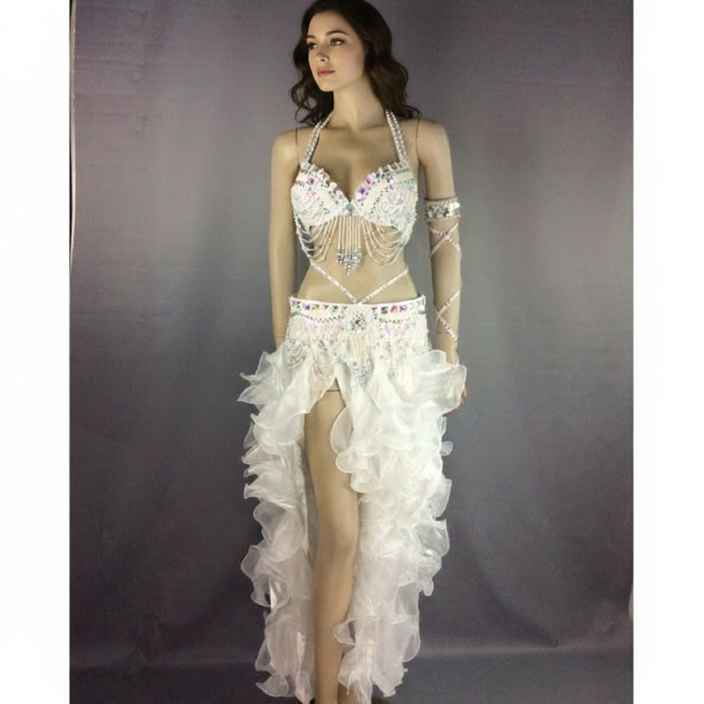 high quality belly dance costume professional costume wear outfit for women 5-piece bar belt skirt clothing sets TF1402 (5pcs/set)