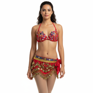 New Hot Shining Belly dance costume Sexy Samba Carnival set Wire Bra & Coin Belt Samba Suit performance wear C024