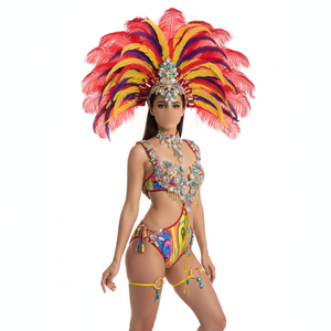 hot selling Sexy Customized Samba Rio Carnival Costume with mulit-colors Feather Head piece(one piece costume)  C1507